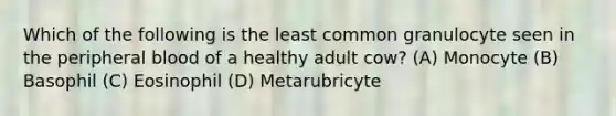Which of the following is the least common granulocyte seen in the peripheral blood of a healthy adult cow? (A) Monocyte (B) Basophil (C) Eosinophil (D) Metarubricyte