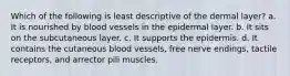 Which of the following is least descriptive of the dermal layer? a. It is nourished by blood vessels in the epidermal layer. b. It sits on the subcutaneous layer. c. It supports the epidermis. d. It contains the cutaneous blood vessels, free nerve endings, tactile receptors, and arrector pili muscles.