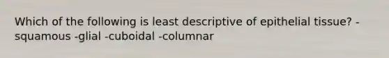 Which of the following is least descriptive of <a href='https://www.questionai.com/knowledge/k7dms5lrVY-epithelial-tissue' class='anchor-knowledge'>epithelial tissue</a>? -squamous -glial -cuboidal -columnar