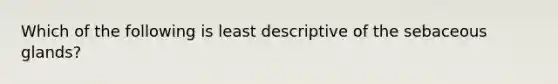 Which of the following is least descriptive of the sebaceous glands?