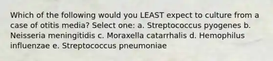 Which of the following would you LEAST expect to culture from a case of otitis media? Select one: a. Streptococcus pyogenes b. Neisseria meningitidis c. Moraxella catarrhalis d. Hemophilus influenzae e. Streptococcus pneumoniae