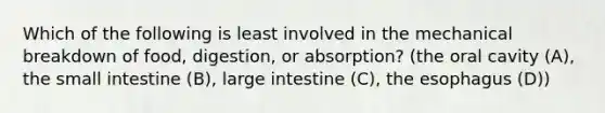 Which of the following is least involved in the mechanical breakdown of food, digestion, or absorption? (the oral cavity (A), the small intestine (B), large intestine (C), the esophagus (D))