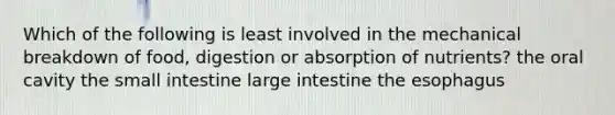 Which of the following is least involved in the mechanical breakdown of food, digestion or absorption of nutrients? the oral cavity the small intestine large intestine the esophagus