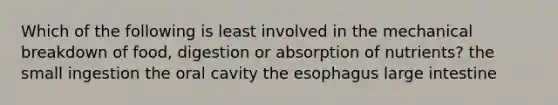 Which of the following is least involved in the mechanical breakdown of food, digestion or absorption of nutrients? the small ingestion the oral cavity the esophagus large intestine