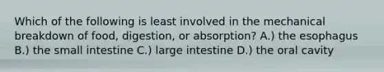 Which of the following is least involved in the mechanical breakdown of food, digestion, or absorption? A.) the esophagus B.) the small intestine C.) large intestine D.) the oral cavity