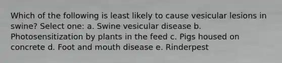 Which of the following is least likely to cause vesicular lesions in swine? Select one: a. Swine vesicular disease b. Photosensitization by plants in the feed c. Pigs housed on concrete d. Foot and mouth disease e. Rinderpest