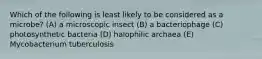 Which of the following is least likely to be considered as a microbe? (A) a microscopic insect (B) a bacteriophage (C) photosynthetic bacteria (D) halophilic archaea (E) Mycobacterium tuberculosis