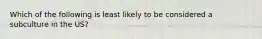 Which of the following is least likely to be considered a subculture in the US?