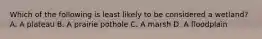 Which of the following is least likely to be considered a wetland? A. A plateau B. A prairie pothole C. A marsh D. A floodplain