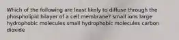 Which of the following are least likely to diffuse through the phospholipid bilayer of a cell membrane? small ions large hydrophobic molecules small hydrophobic molecules carbon dioxide