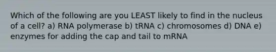 Which of the following are you LEAST likely to find in the nucleus of a cell? a) RNA polymerase b) tRNA c) chromosomes d) DNA e) enzymes for adding the cap and tail to mRNA