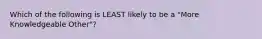 Which of the following is LEAST likely to be a "More Knowledgeable Other"?