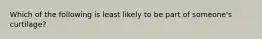 Which of the following is least likely to be part of someone's curtilage?