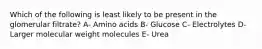 Which of the following is least likely to be present in the glomerular filtrate? A- Amino acids B- Glucose C- Electrolytes D- Larger molecular weight molecules E- Urea