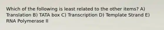 Which of the following is least related to the other items? A) Translation B) TATA box C) Transcription D) Template Strand E) RNA Polymerase II