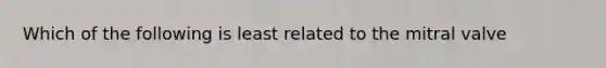 Which of the following is least related to the mitral valve