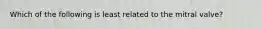 Which of the following is least related to the mitral valve?