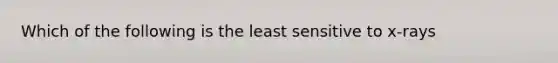 Which of the following is the least sensitive to x-rays