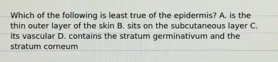 Which of the following is least true of the epidermis? A. is the thin outer layer of the skin B. sits on the subcutaneous layer C. its vascular D. contains the stratum germinativum and the stratum corneum