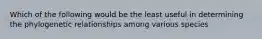 Which of the following would be the least useful in determining the phylogenetic relationships among various species