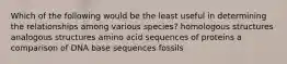 Which of the following would be the least useful in determining the relationships among various species? homologous structures analogous structures amino acid sequences of proteins a comparison of DNA base sequences fossils