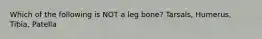 Which of the following is NOT a leg bone? Tarsals, Humerus, Tibia, Patella