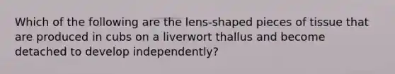 Which of the following are the lens-shaped pieces of tissue that are produced in cubs on a liverwort thallus and become detached to develop independently?