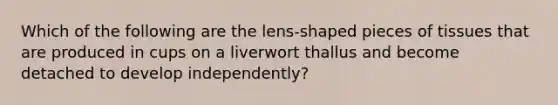 Which of the following are the lens-shaped pieces of tissues that are produced in cups on a liverwort thallus and become detached to develop independently?