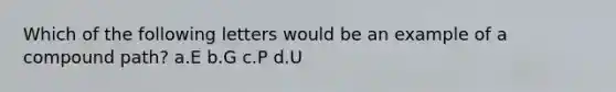 Which of the following letters would be an example of a compound path? a.E b.G c.P d.U