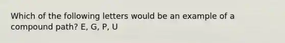 Which of the following letters would be an example of a compound path? E, G, P, U