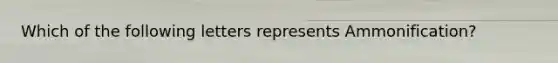 Which of the following letters represents Ammonification?