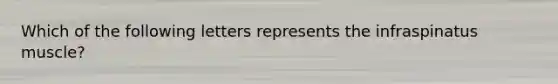 Which of the following letters represents the infraspinatus muscle?