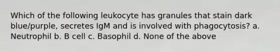 Which of the following leukocyte has granules that stain dark blue/purple, secretes IgM and is involved with phagocytosis? a. Neutrophil b. B cell c. Basophil d. None of the above