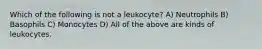 Which of the following is not a leukocyte? A) Neutrophils B) Basophils C) Monocytes D) All of the above are kinds of leukocytes.