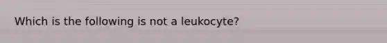 Which is the following is not a leukocyte?