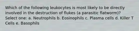 Which of the following leukocytes is most likely to be directly involved in the destruction of flukes (a parasitic flatworm)? Select one: a. Neutrophils b. Eosinophils c. Plasma cells d. Killer T Cells e. Basophils