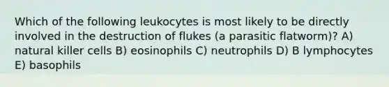 Which of the following leukocytes is most likely to be directly involved in the destruction of flukes (a parasitic flatworm)? A) natural killer cells B) eosinophils C) neutrophils D) B lymphocytes E) basophils