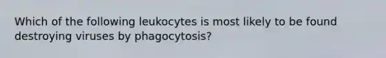 Which of the following leukocytes is most likely to be found destroying viruses by phagocytosis?