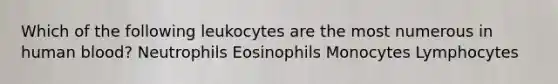 Which of the following leukocytes are the most numerous in human blood? Neutrophils Eosinophils Monocytes Lymphocytes