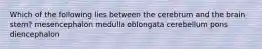 Which of the following lies between the cerebrum and the brain stem? mesencephalon medulla oblongata cerebellum pons diencephalon