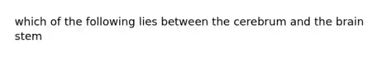 which of the following lies between the cerebrum and the brain stem