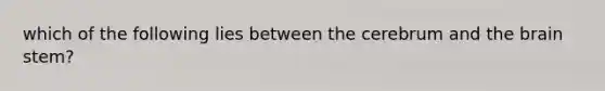 which of the following lies between the cerebrum and the brain stem?