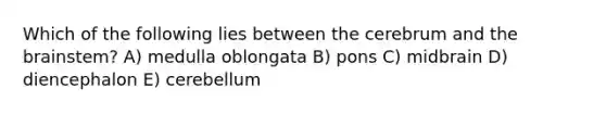 Which of the following lies between the cerebrum and the brainstem? A) medulla oblongata B) pons C) midbrain D) diencephalon E) cerebellum