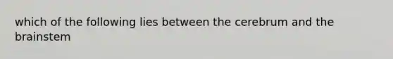 which of the following lies between the cerebrum and the brainstem