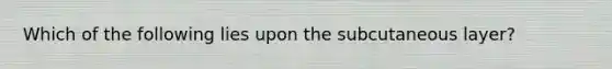 Which of the following lies upon the subcutaneous layer?