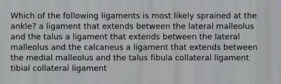 Which of the following ligaments is most likely sprained at the ankle? a ligament that extends between the lateral malleolus and the talus a ligament that extends between the lateral malleolus and the calcaneus a ligament that extends between the medial malleolus and the talus fibula collateral ligament tibial collateral ligament