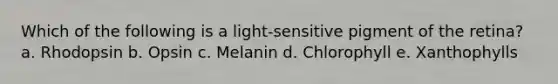 Which of the following is a light-sensitive pigment of the retina? a. Rhodopsin b. Opsin c. Melanin d. Chlorophyll e. Xanthophylls