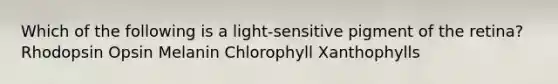 Which of the following is a light-sensitive pigment of the retina? Rhodopsin Opsin Melanin Chlorophyll Xanthophylls