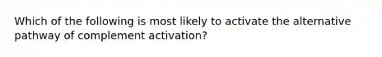 Which of the following is most likely to activate the alternative pathway of complement activation?