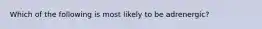 Which of the following is most likely to be adrenergic?